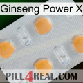 Ginseng Power X 24